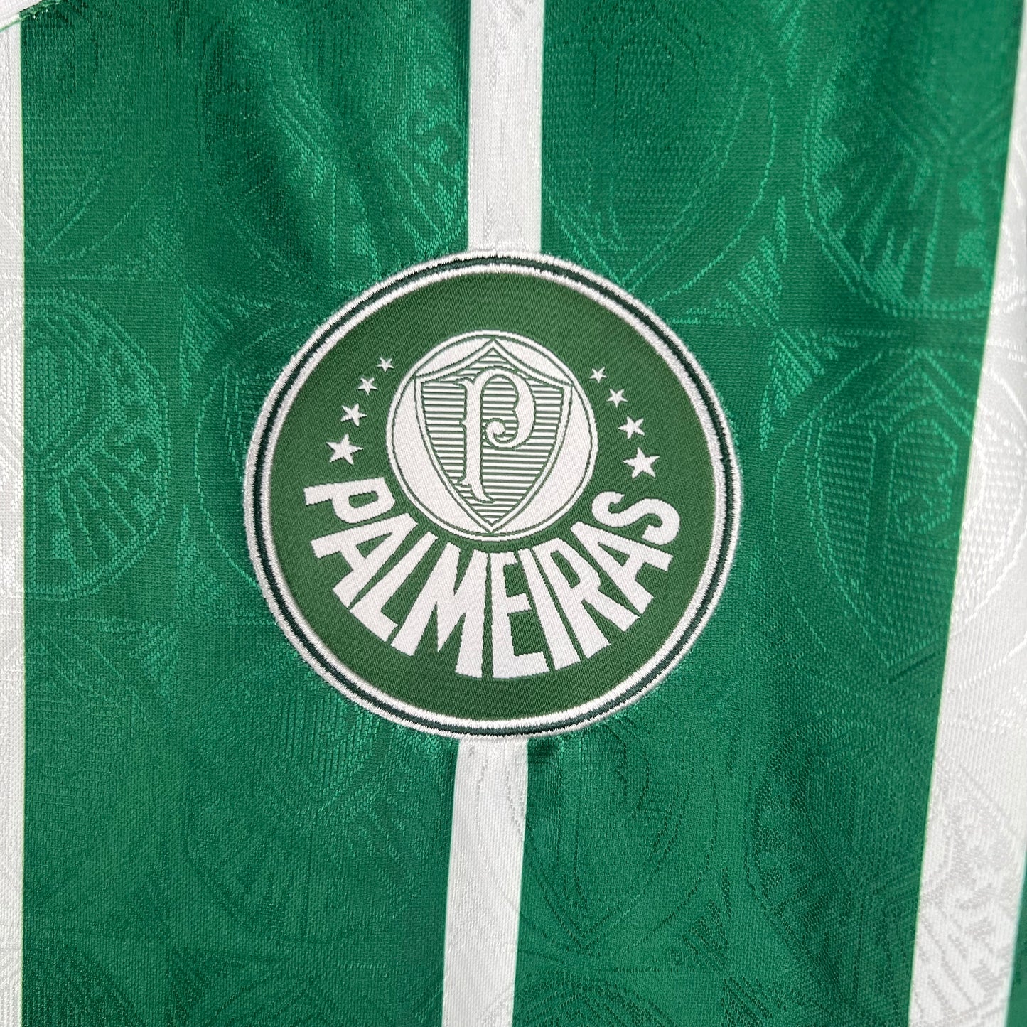 SE Palmeiras 1993