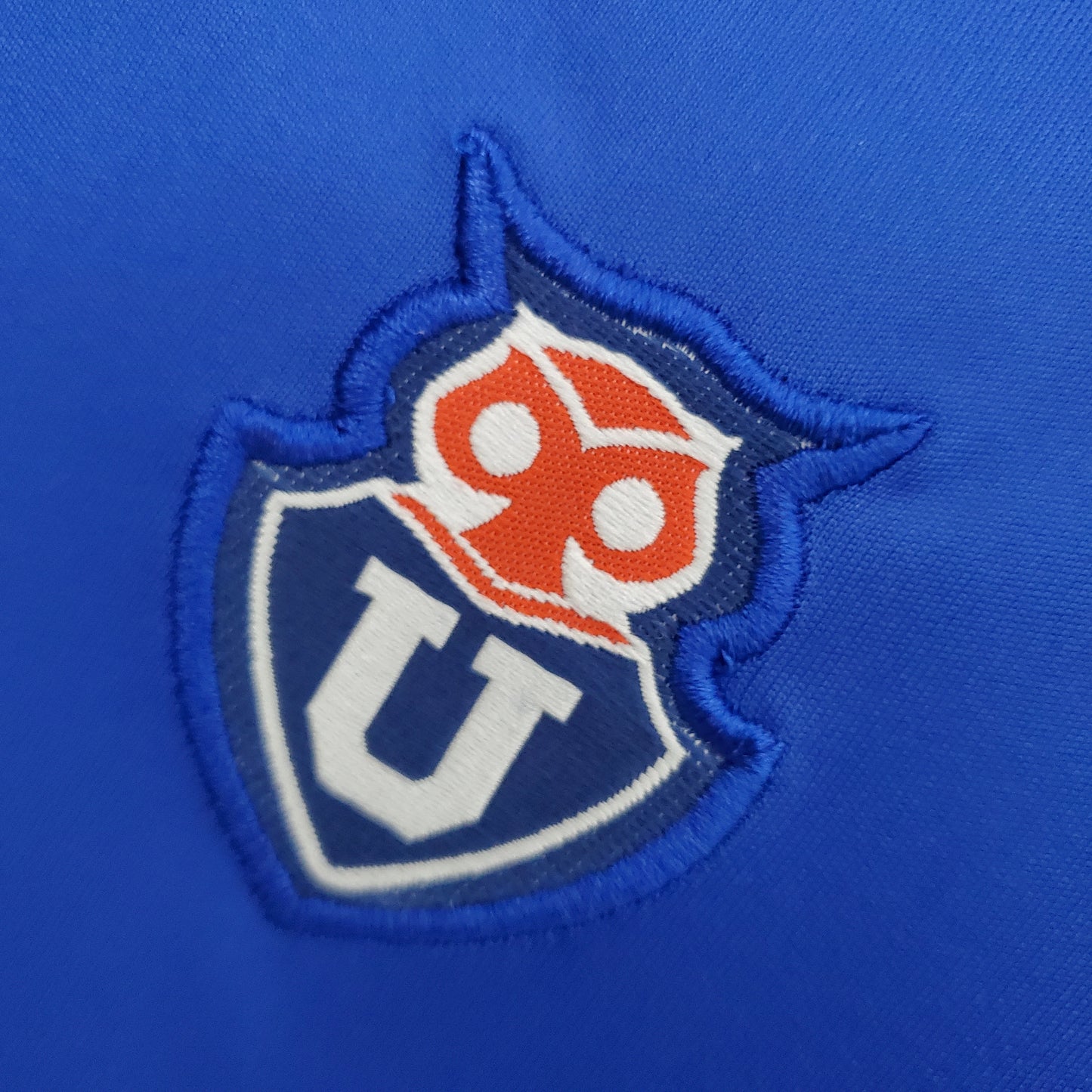 Universidad de Chile 2011
