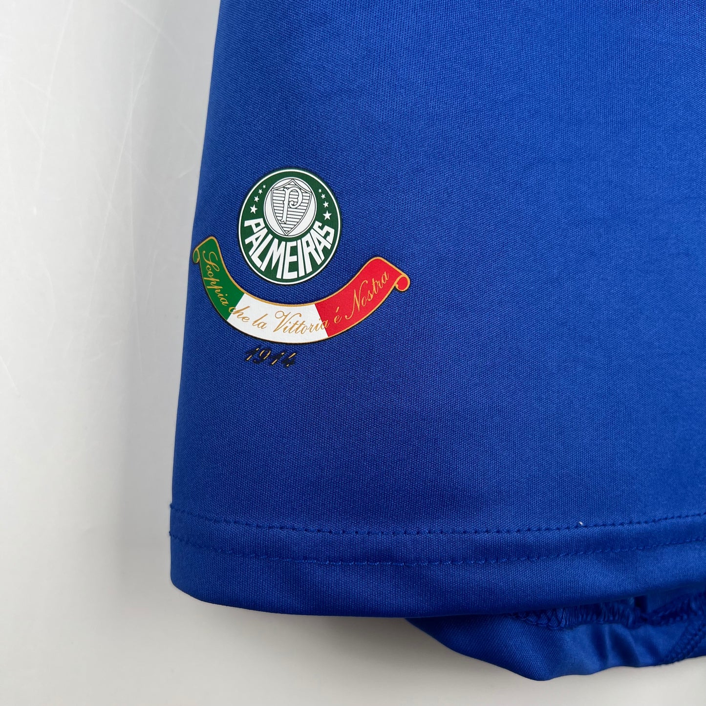 SE Palmeiras 2009