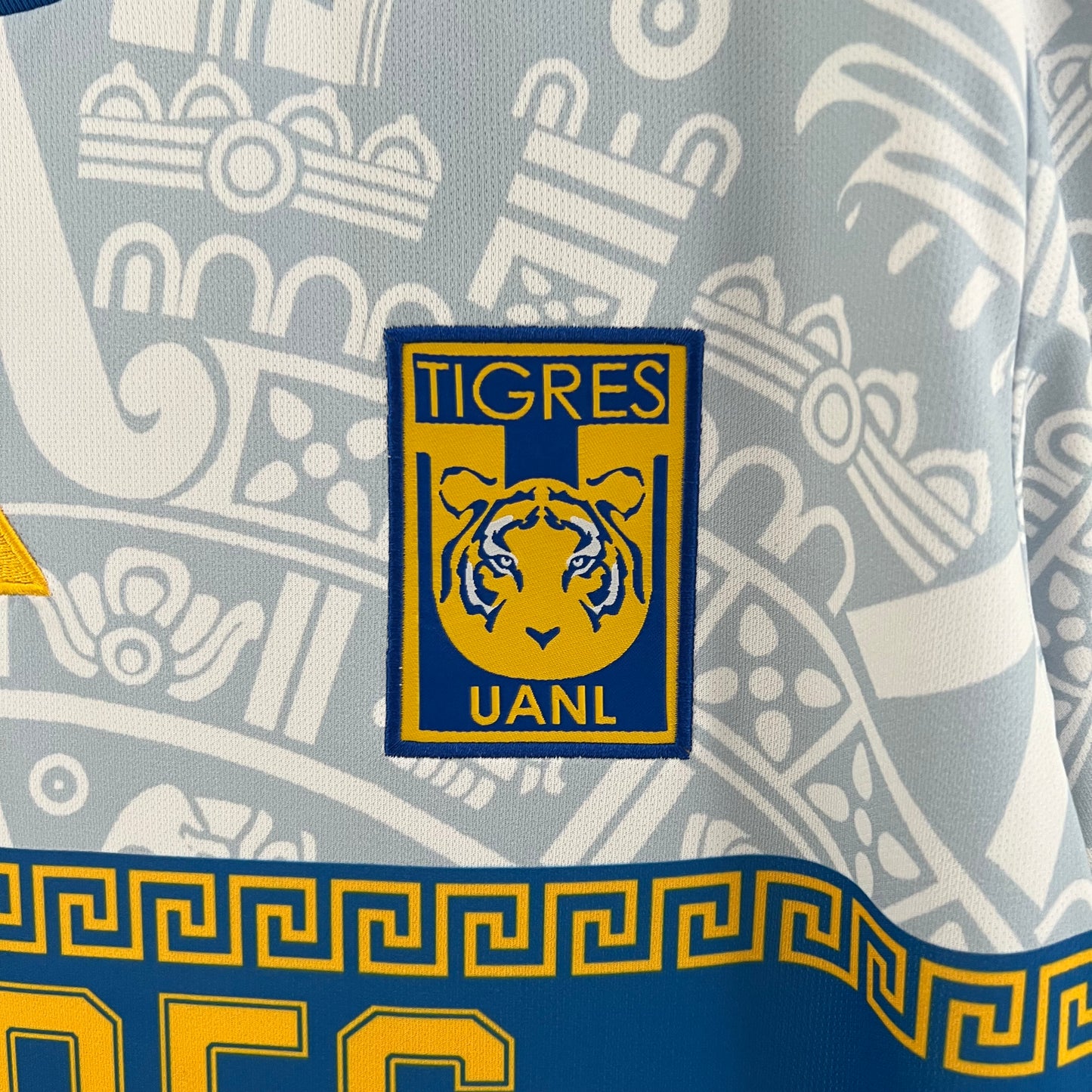 Tigres Special Edition