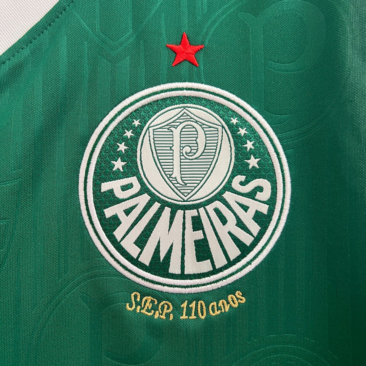 Palmeiras Training