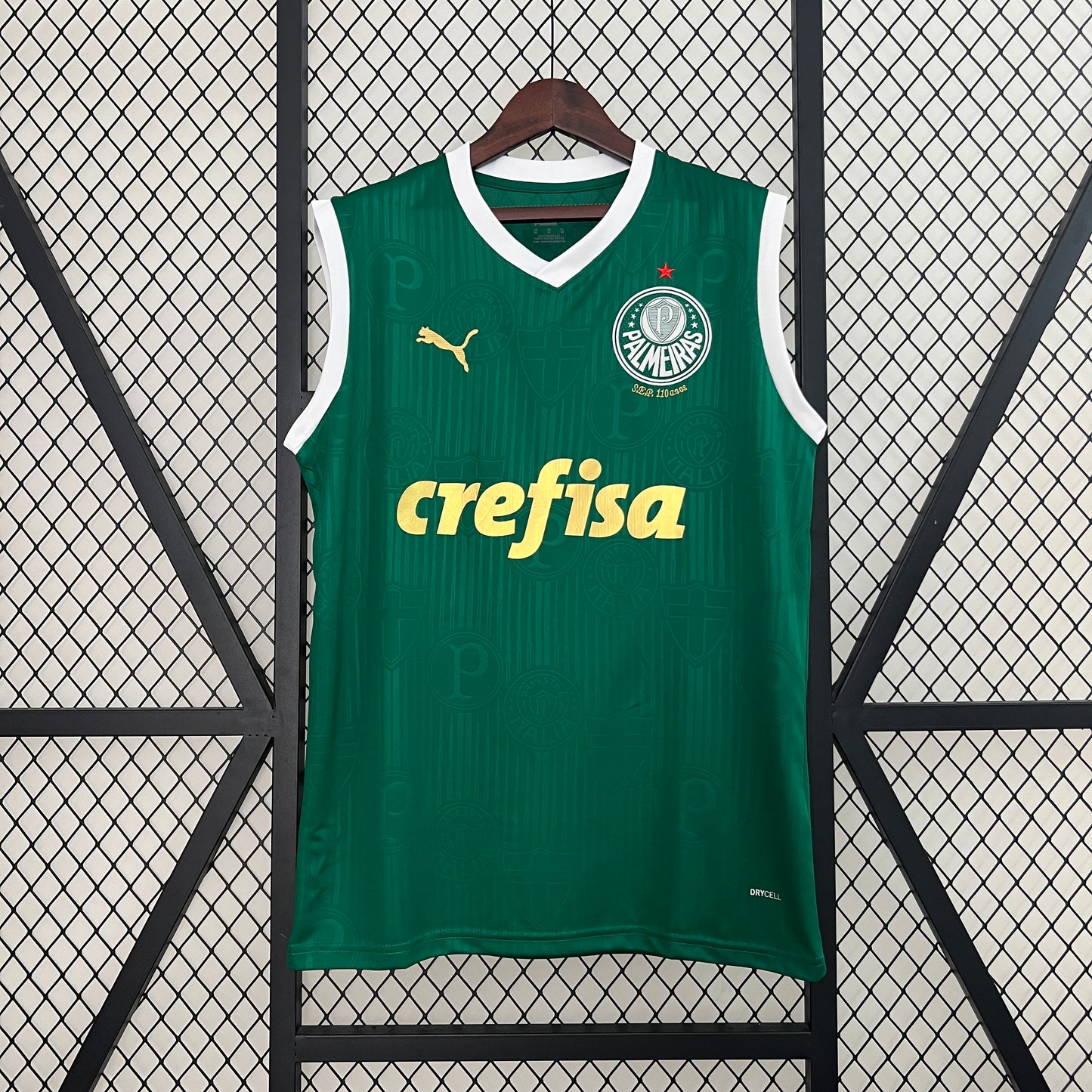 Palmeiras Training
