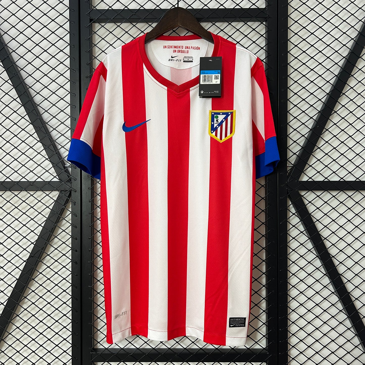 Atlético de Madrid 12/13