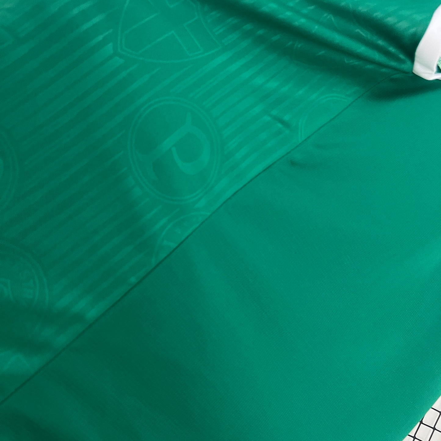 Palmeiras Training