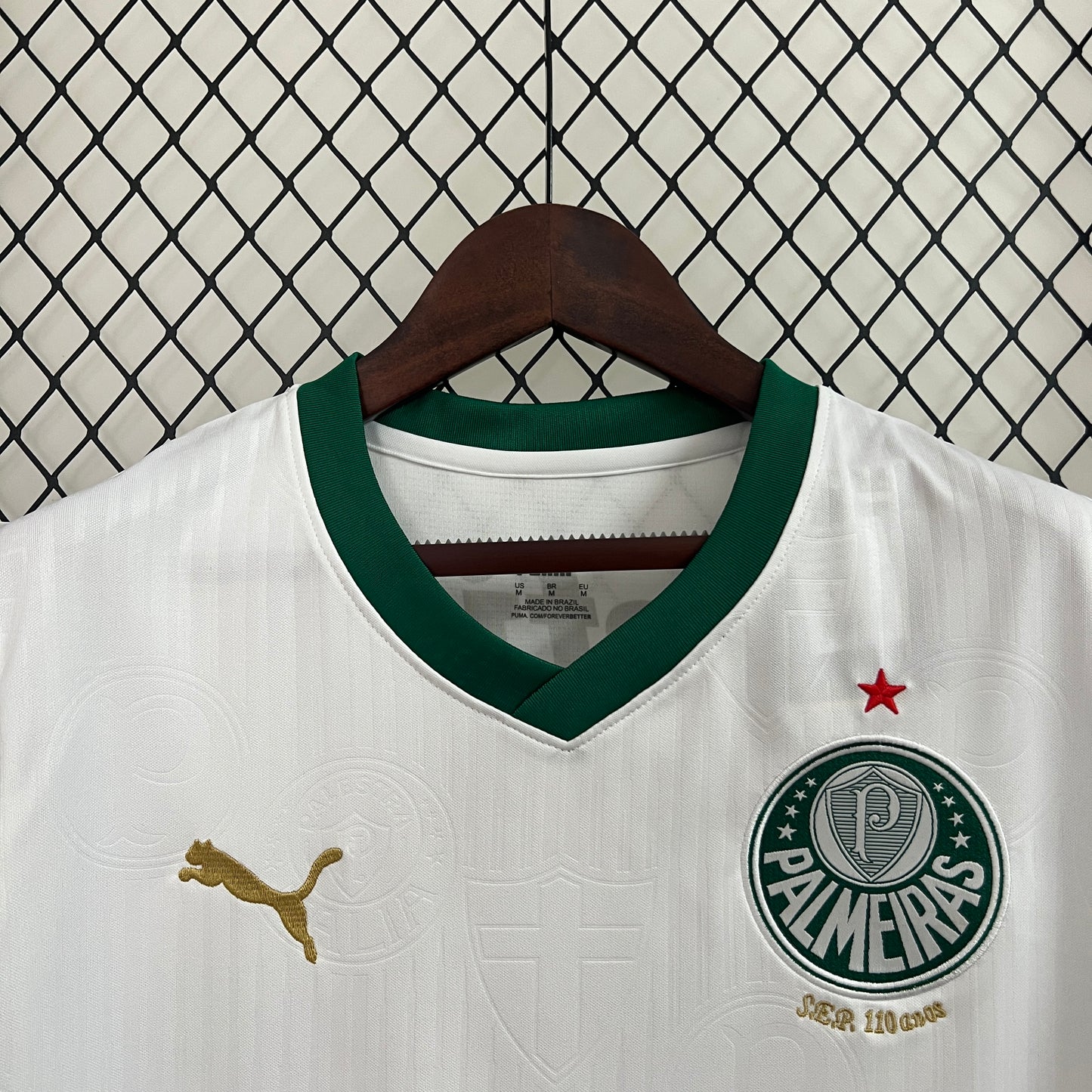 Palmeiras Training