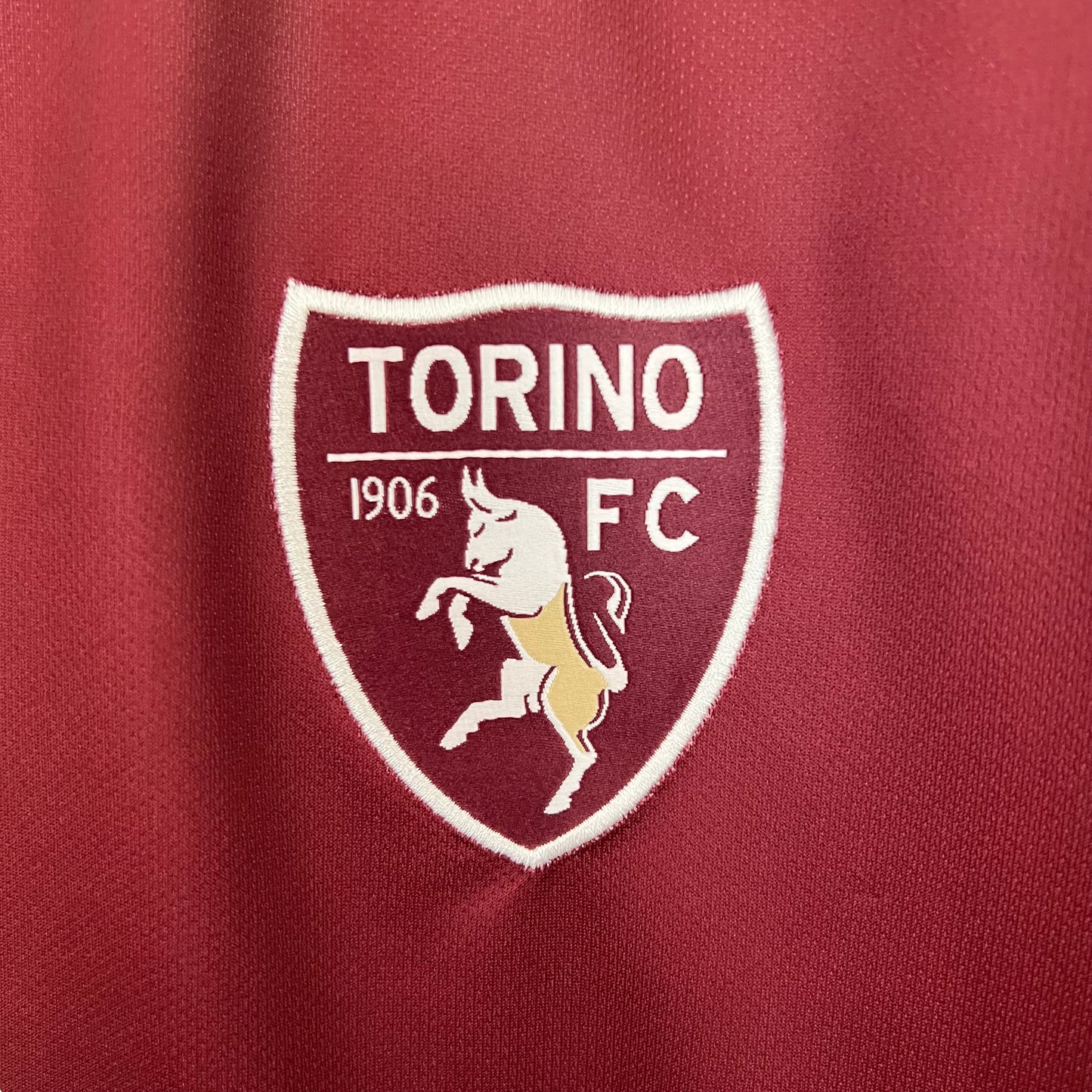 Torino Special Edition