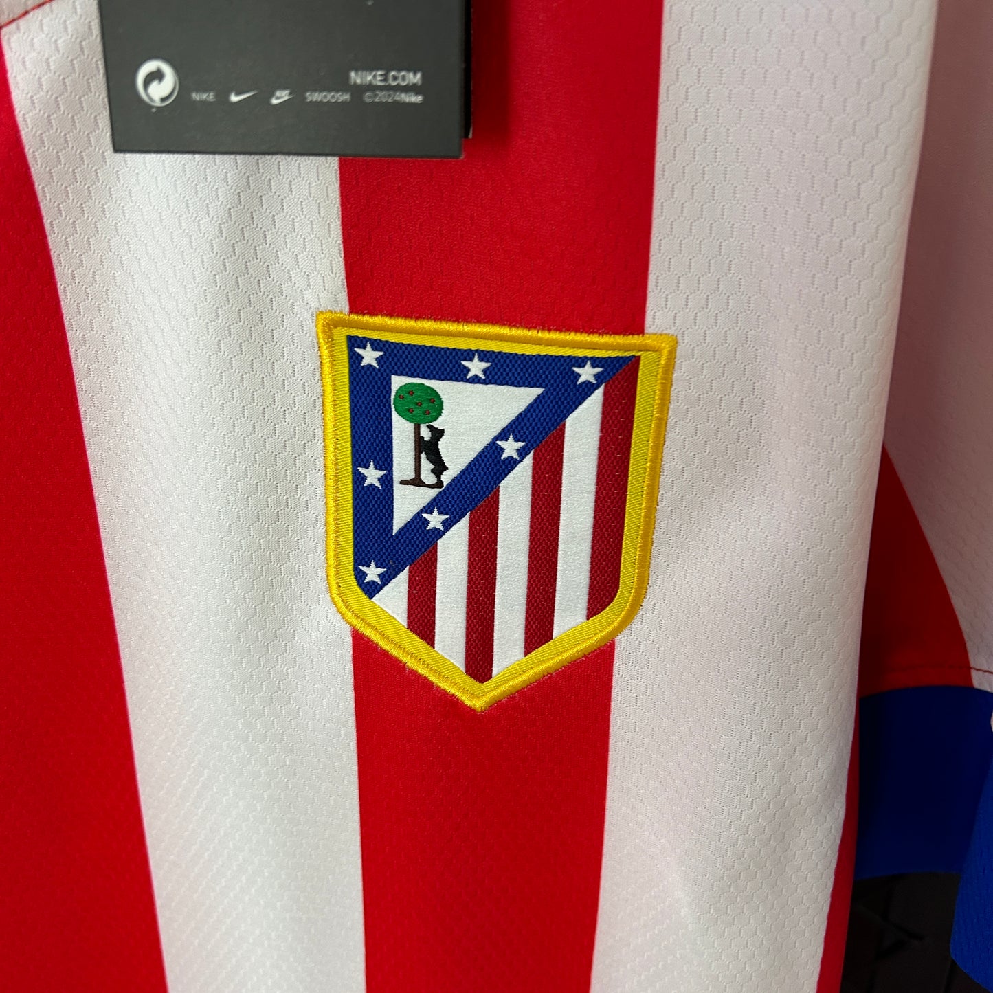 Atlético de Madrid 12/13