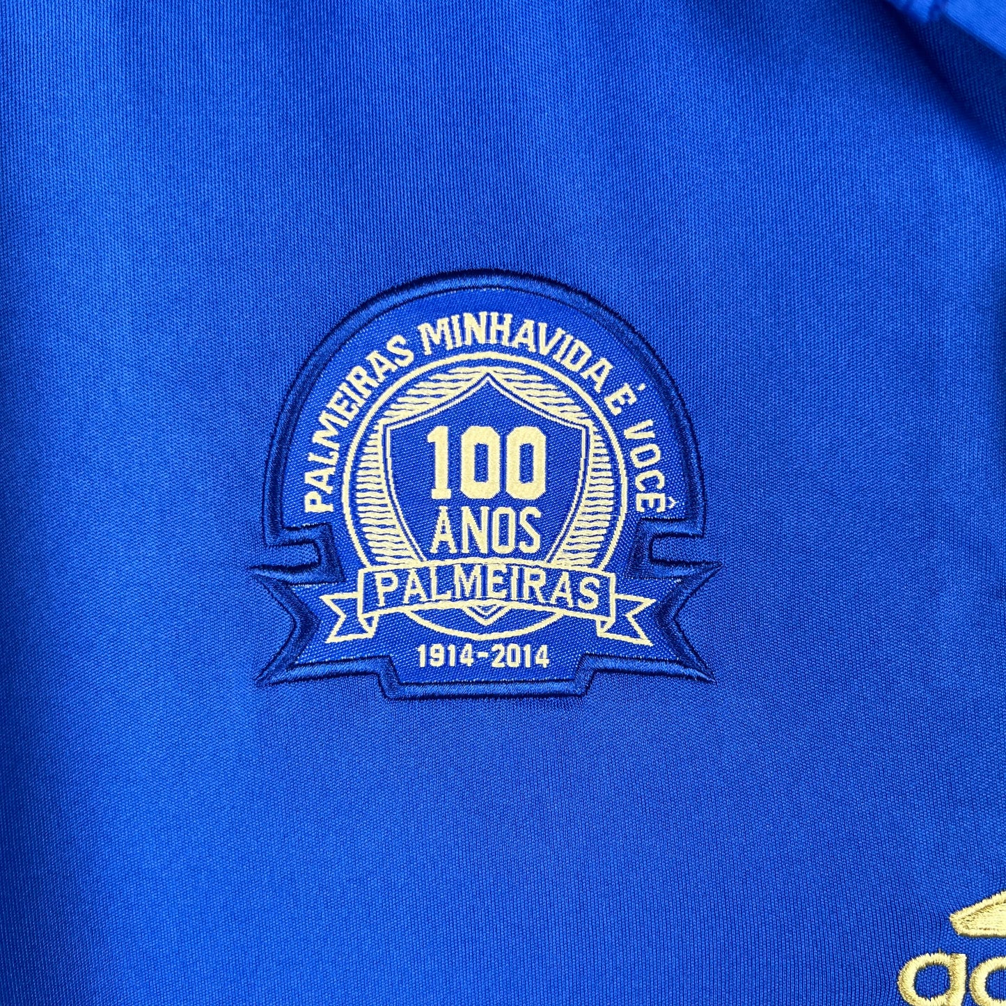 SE Palmeiras 14/15