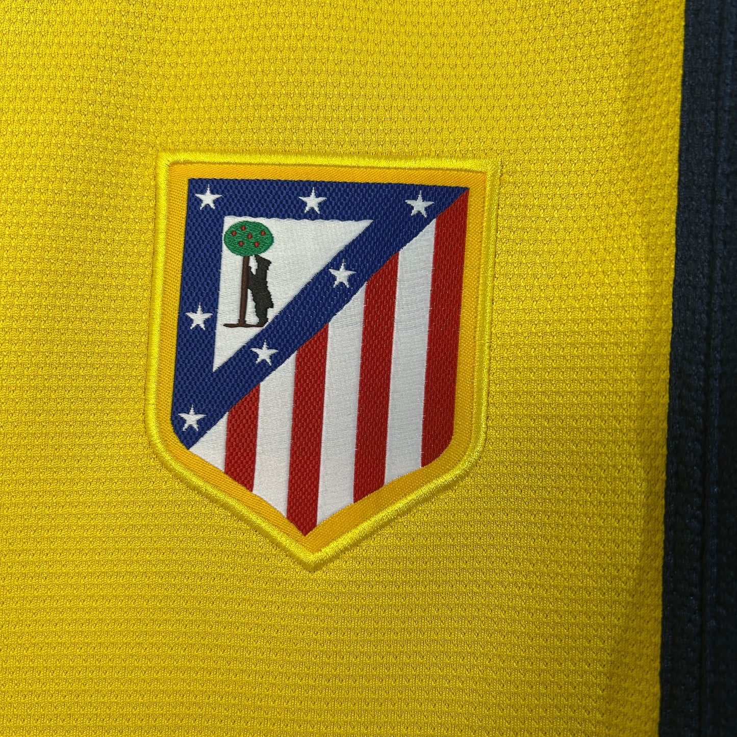 Atlético de Madrid 13/14