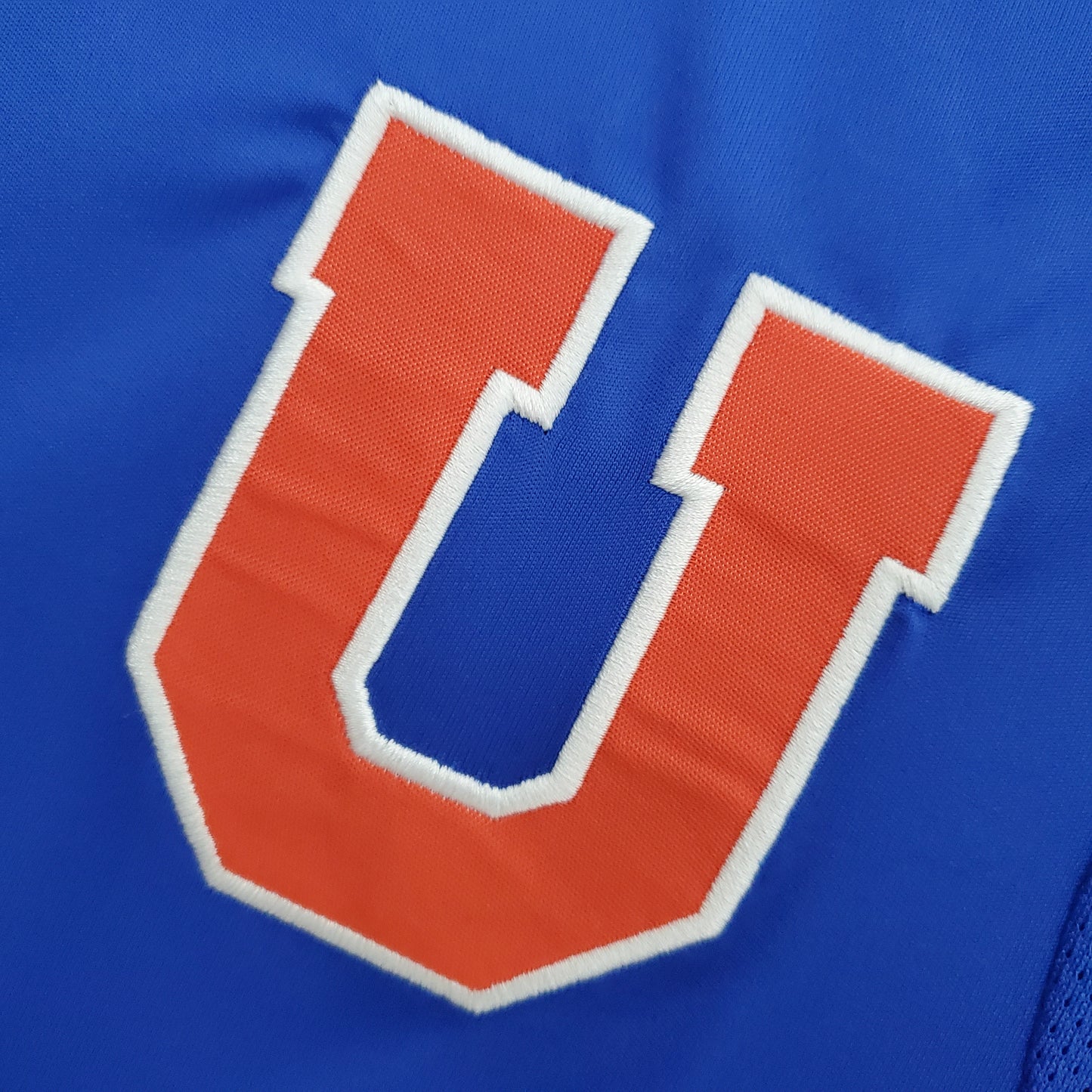 Universidad de Chile 2011