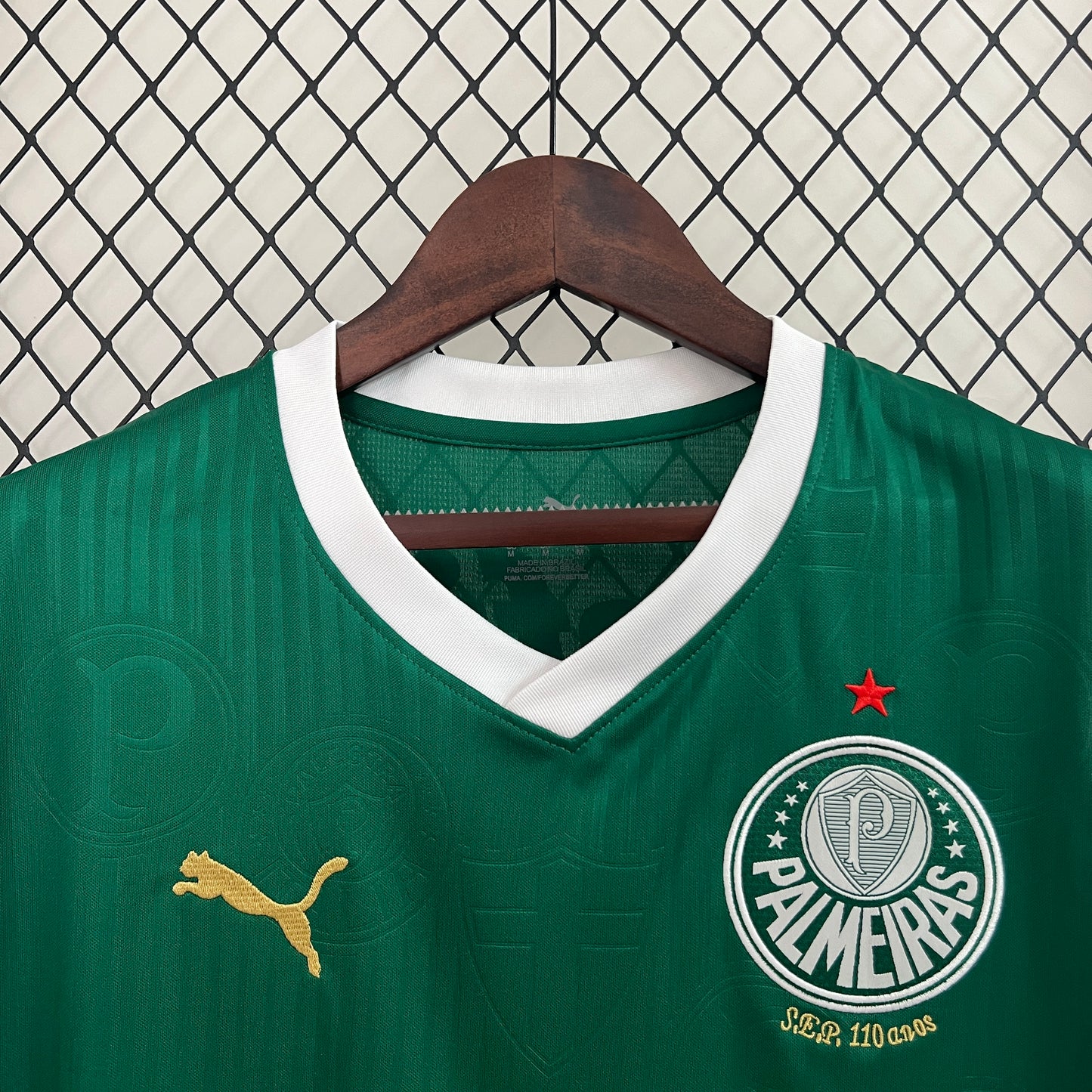 Palmeiras Training