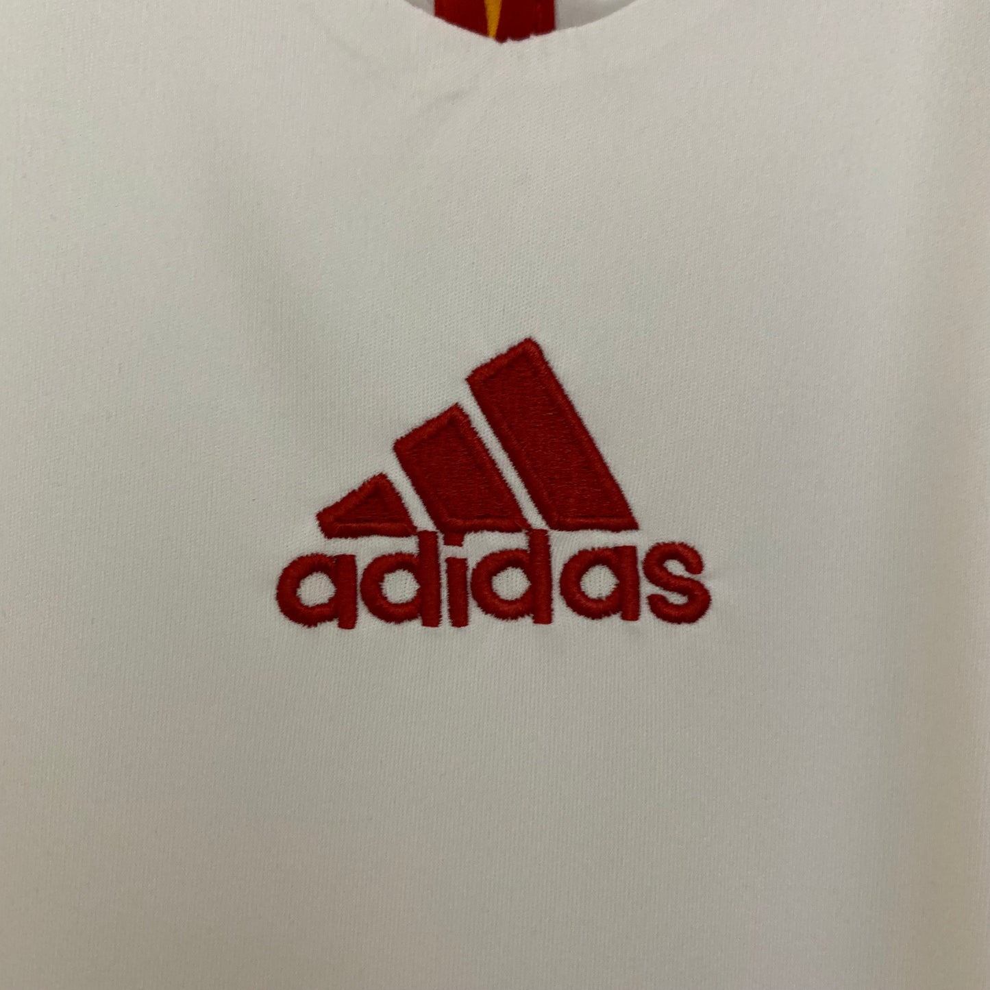 España 2011
