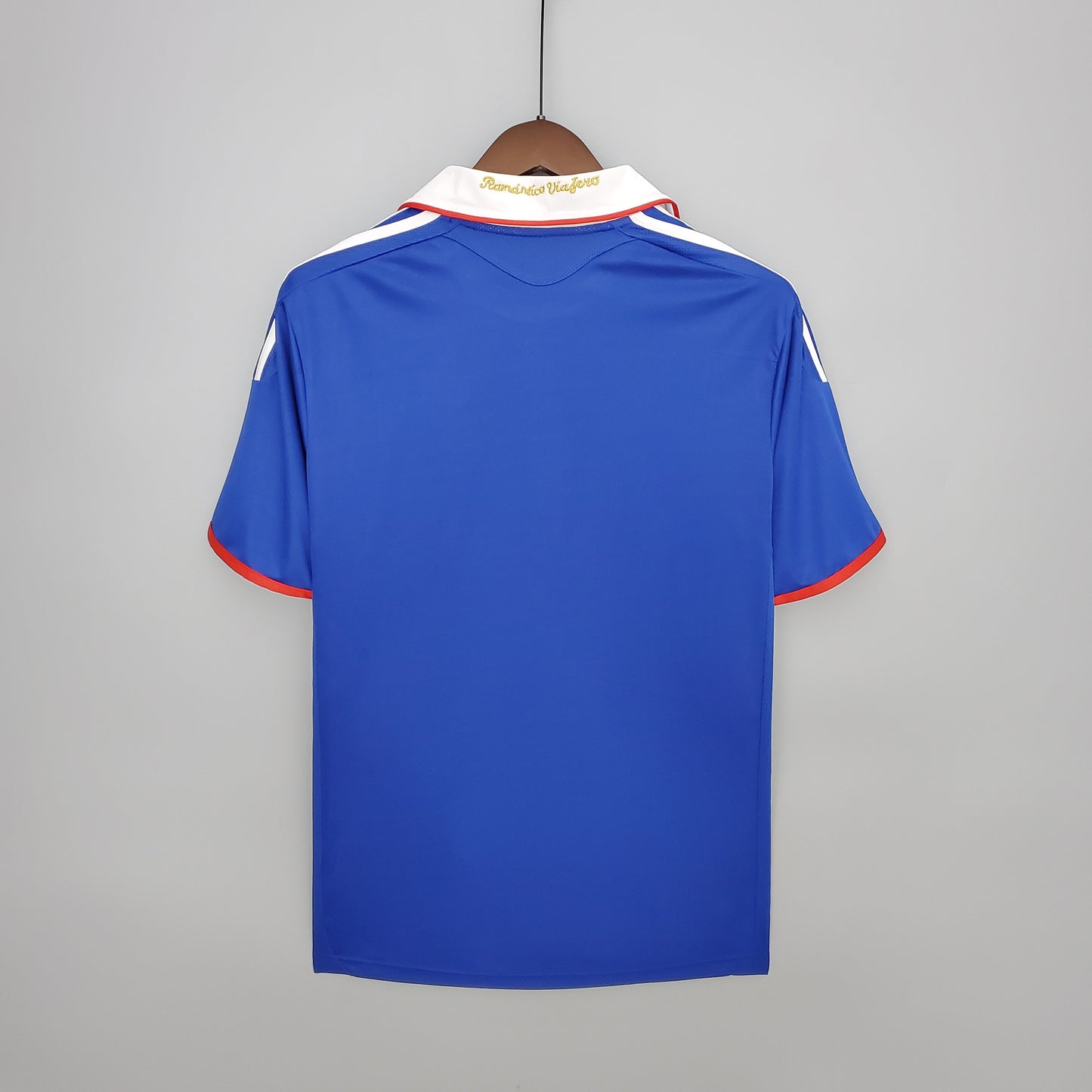 Universidad de Chile 2011