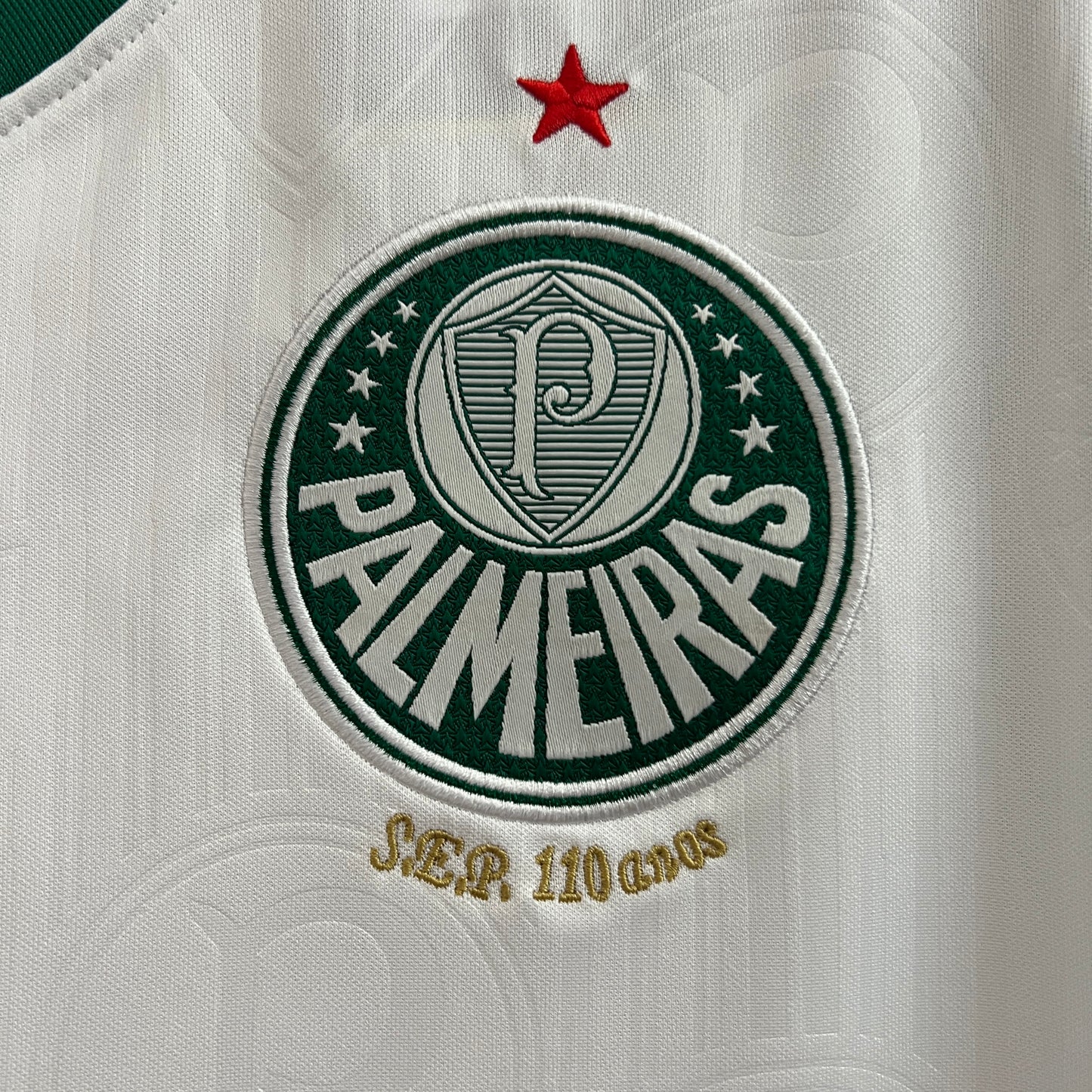 Palmeiras Training