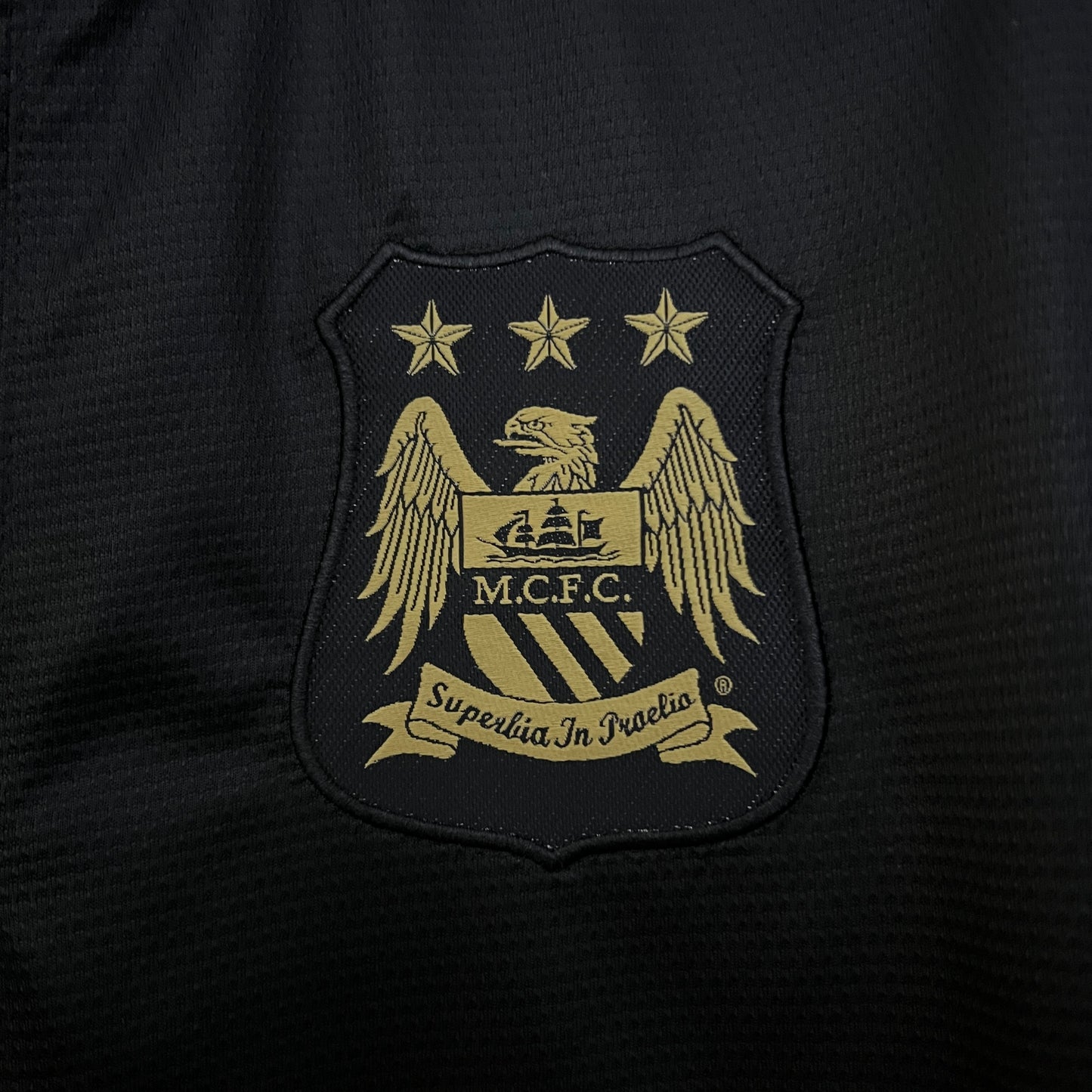 Manchester City 13/14