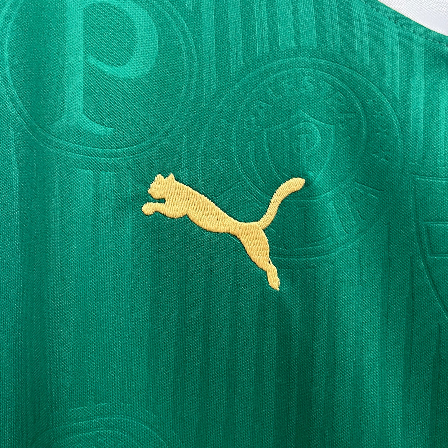 Palmeiras Training