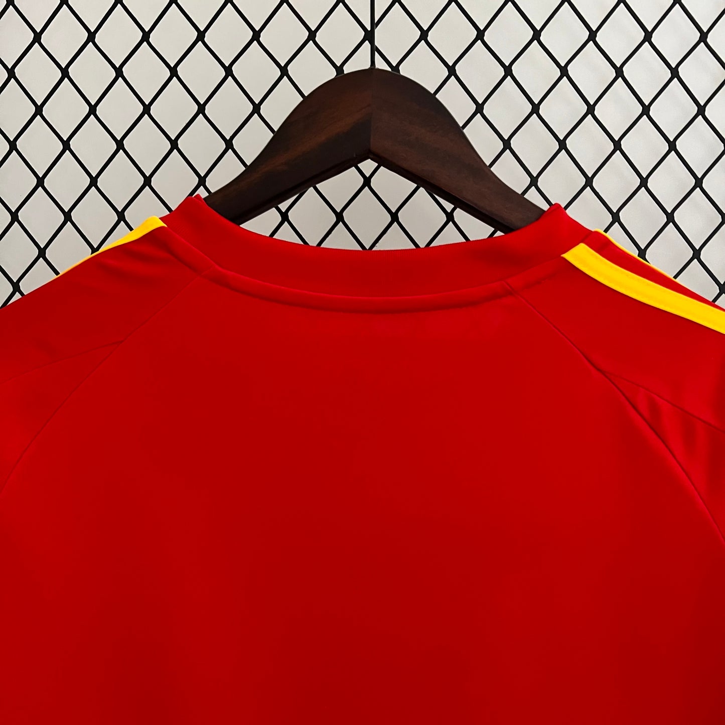 España 2008
