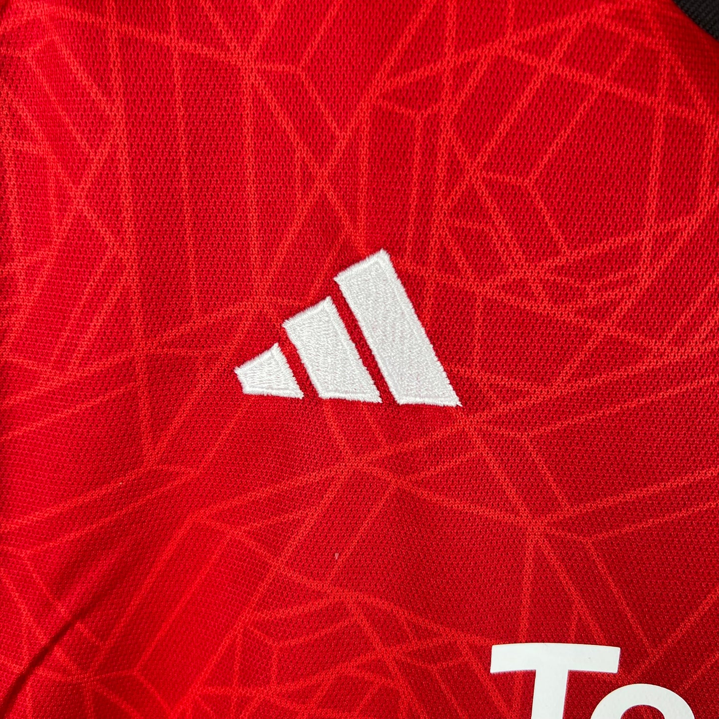 Manchester United 23/24