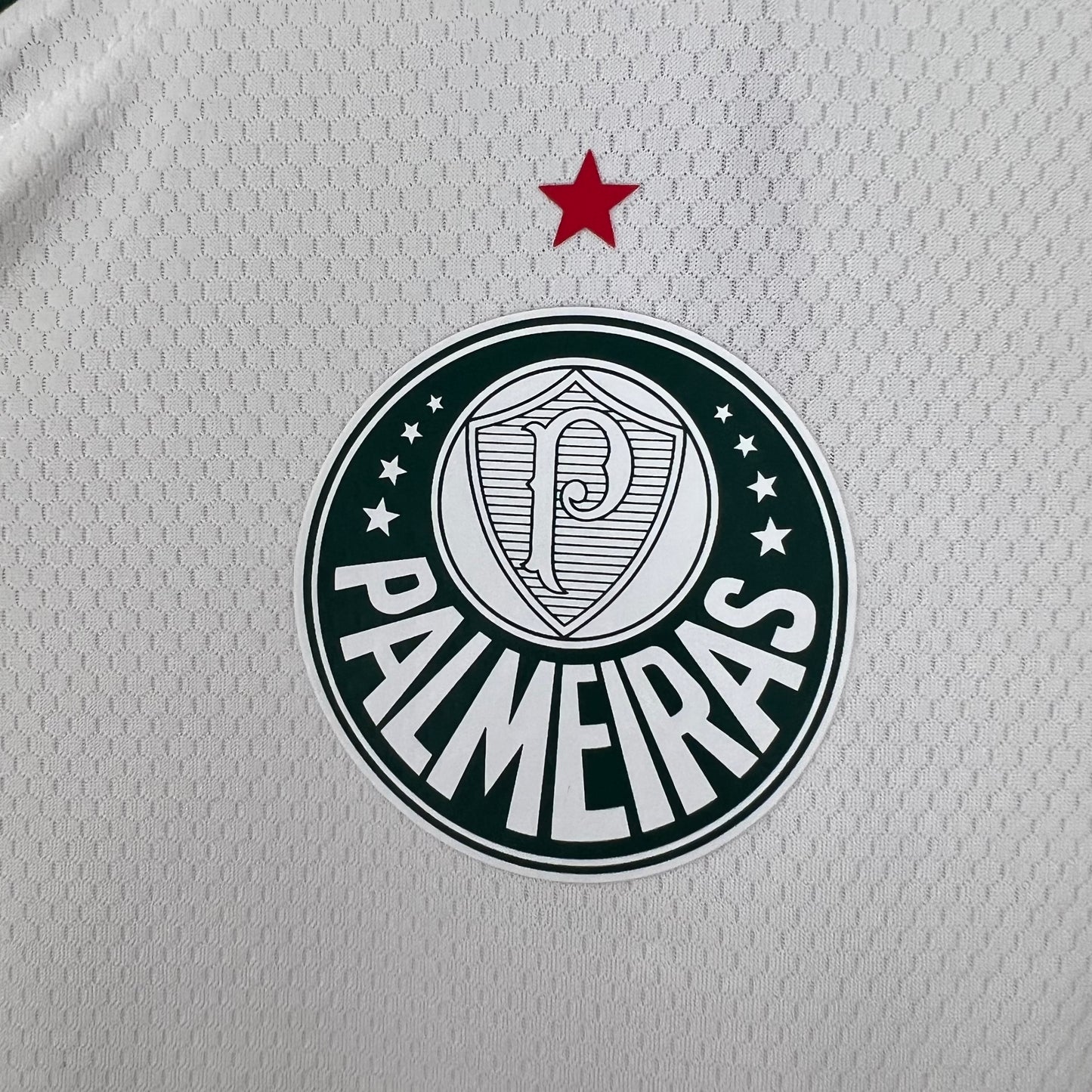 SE Palmeiras 23/24