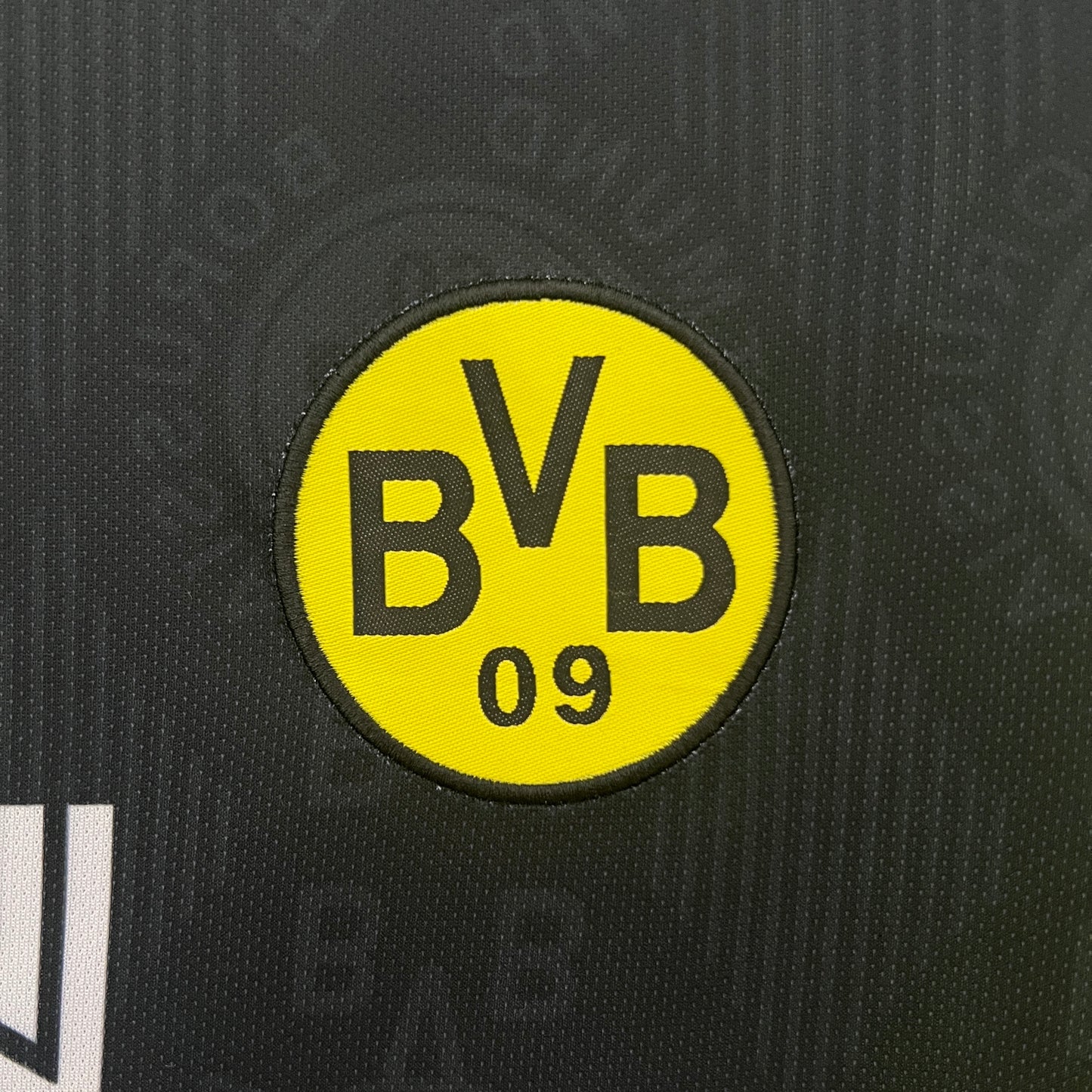 Borussia Dortmund 96/97