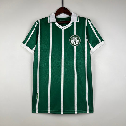 SE Palmeiras 1993