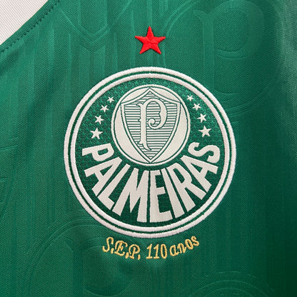 Palmeiras Training