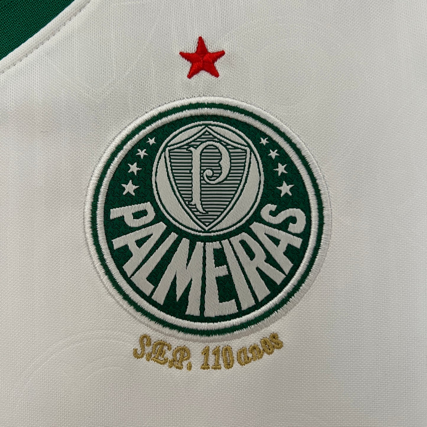 SE Palmeiras 2ª Equipación 24/25