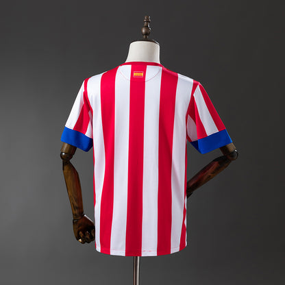 Atlético de Madrid 12/13