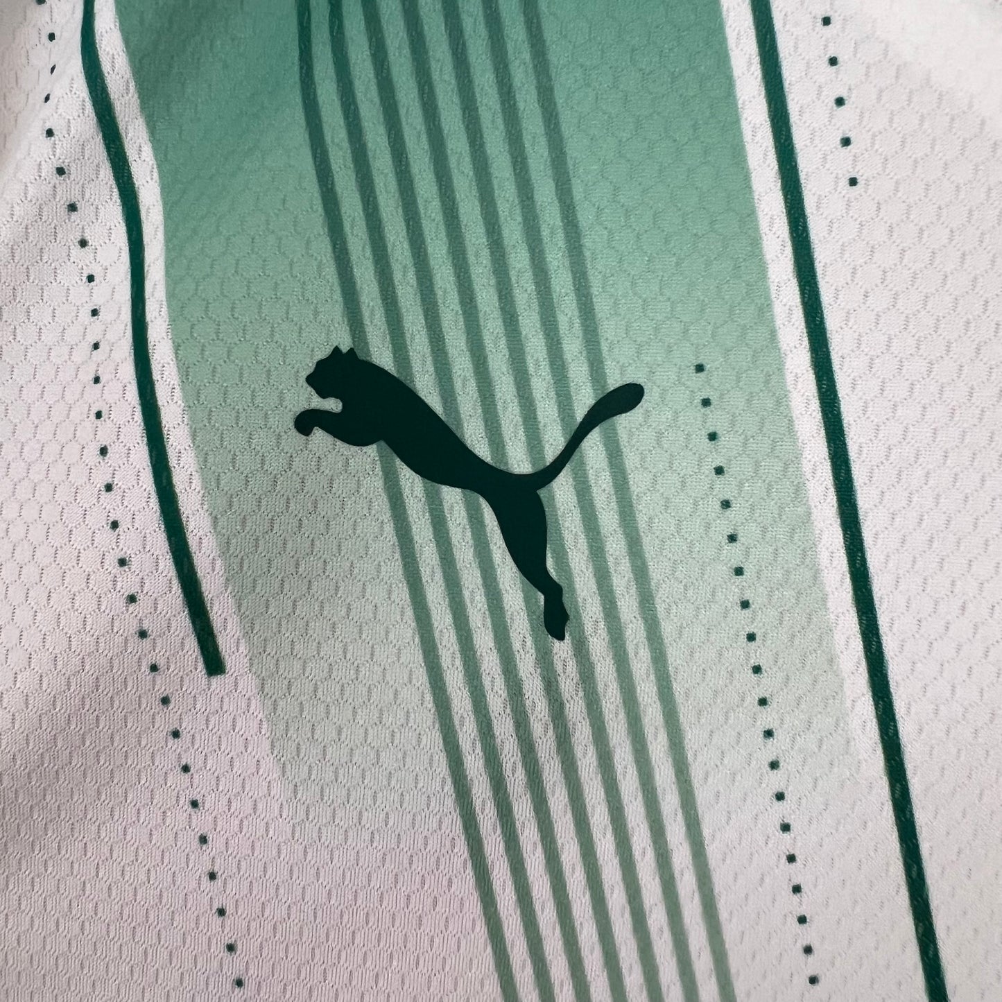 SE Palmeiras 23/24