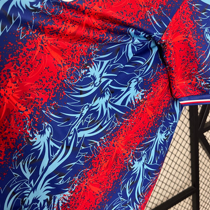 Crystal Palace 1ª Equipación  24/25