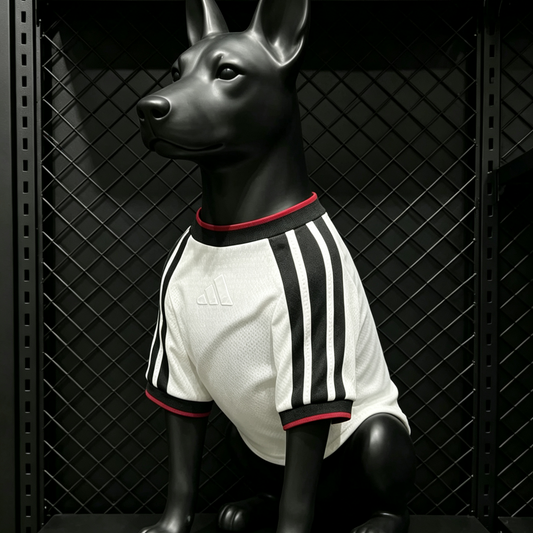 Alemania