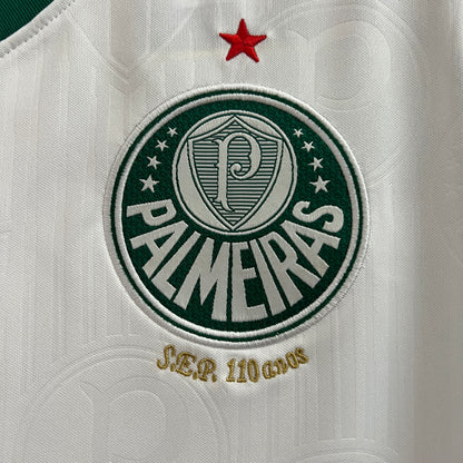 Palmeiras Training