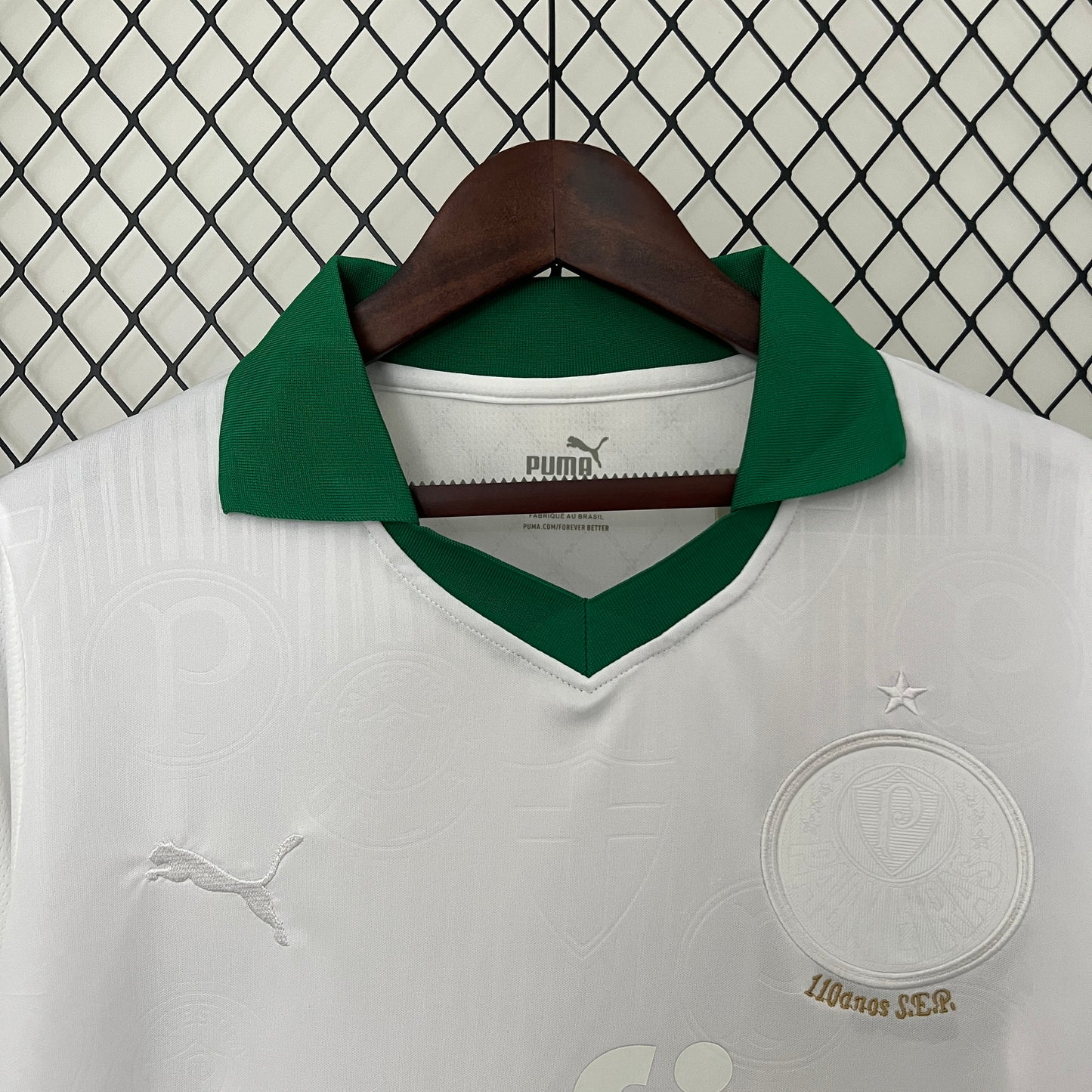 SE Palmeiras Special Edition