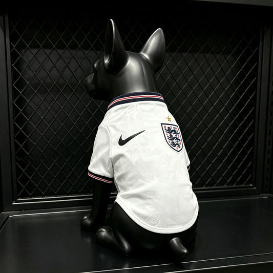 Inglaterra