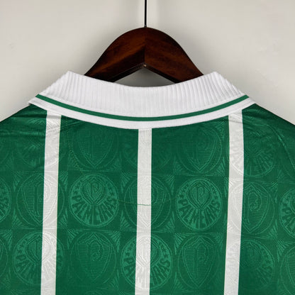 SE Palmeiras 1993