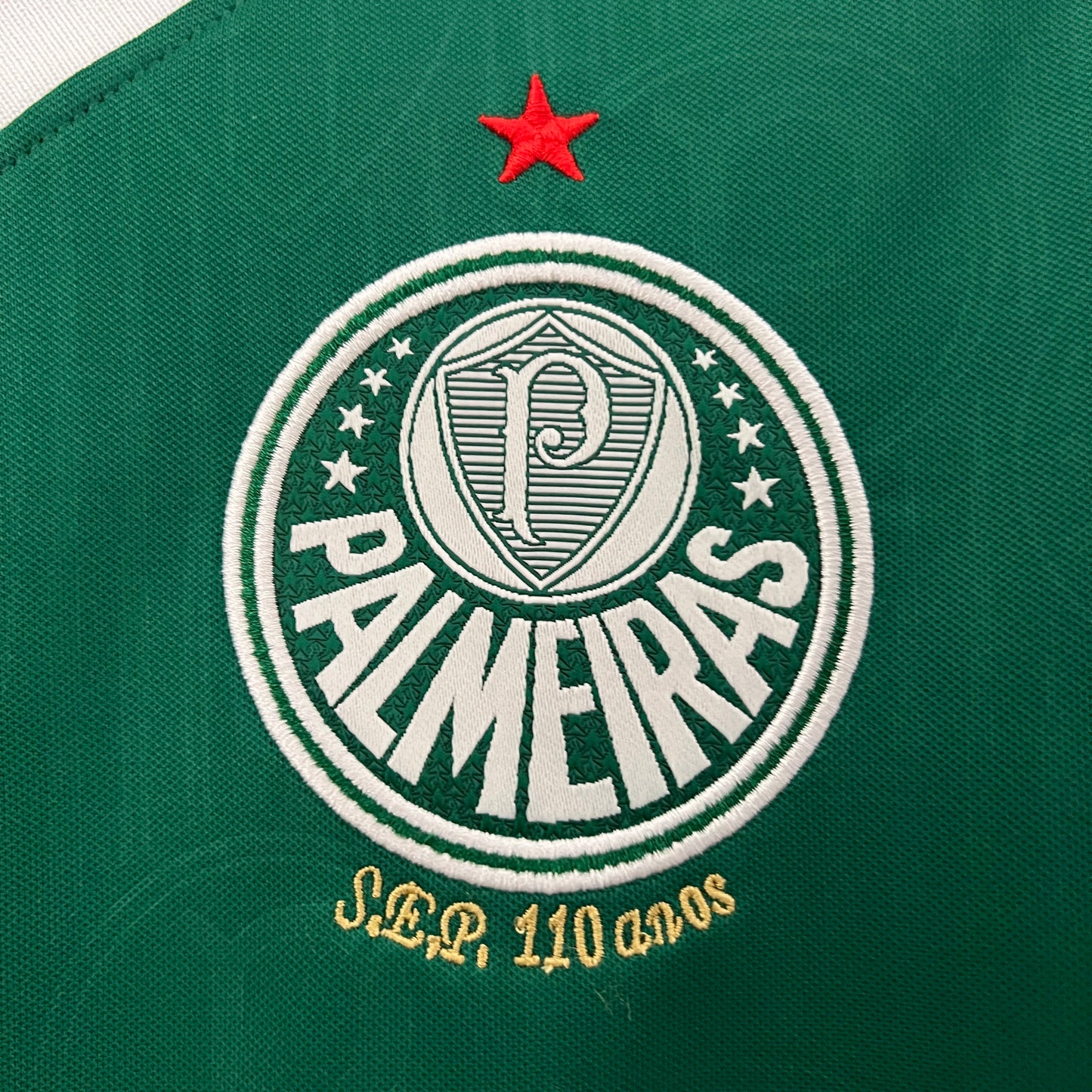 SE Palmeiras 1ª Equipación 24/25