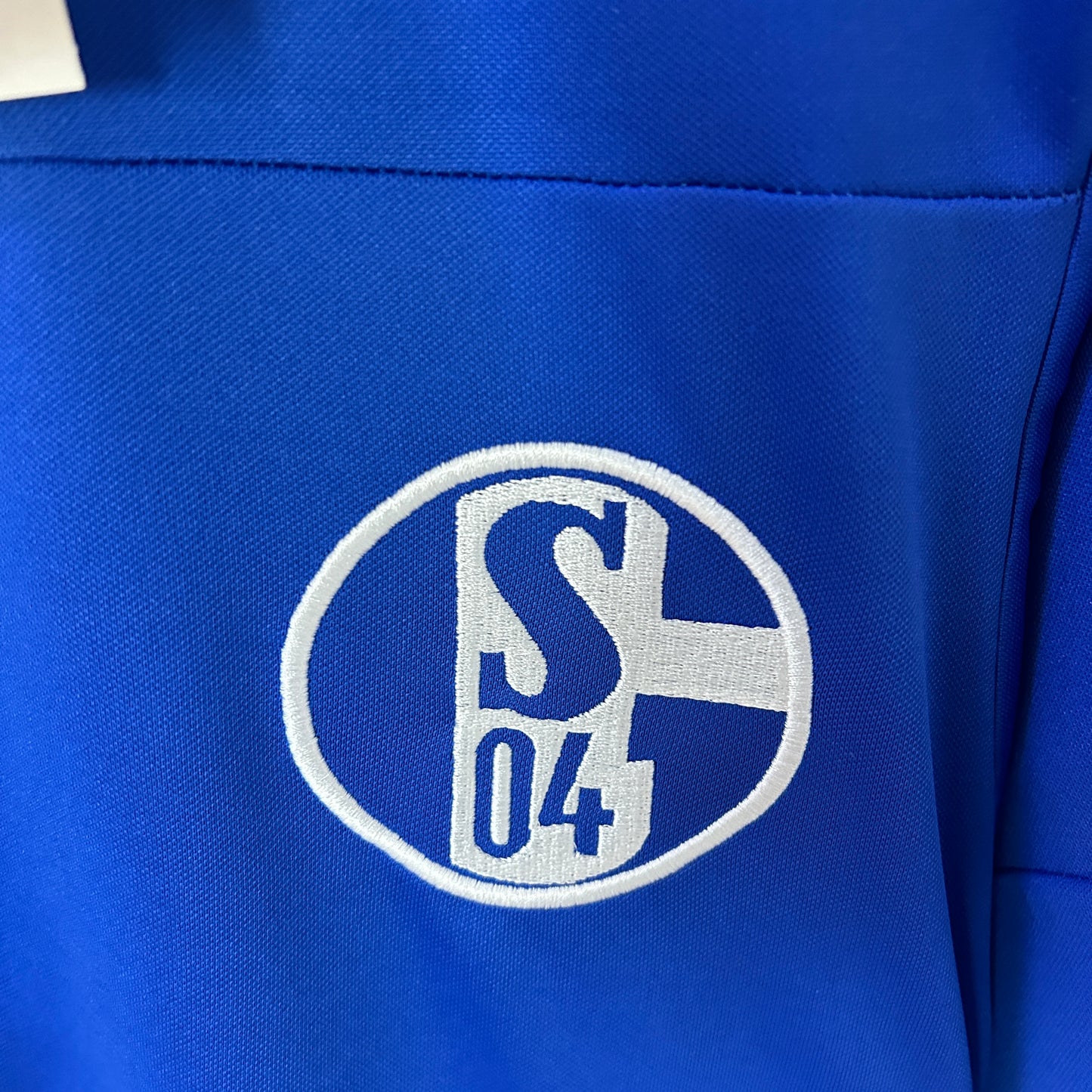 Schalke 04 10/11